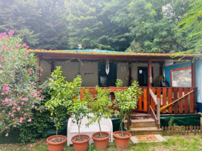 Bungalow Stefy- Ameglia Ameglia